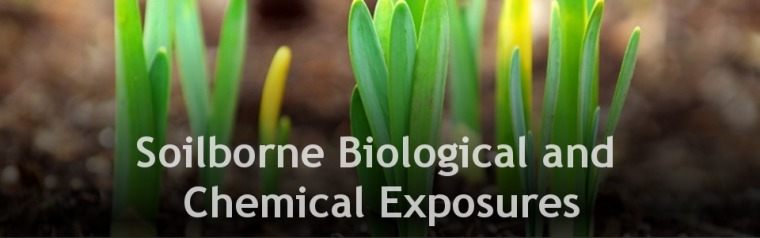 soilborne exposures