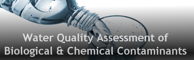 water quality assessment